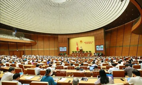 Tuần làm việc thứ 2: Quốc hội thảo luận nhiều nội dung quan trọng