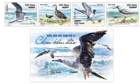 Phát hành bộ tem "Biển, đảo Việt Nam: Chim biển, đảo"
