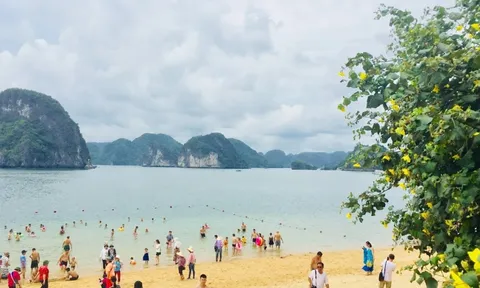Vịnh Hạ Long đón lượng khách kỷ lục kể từ khi mở cửa trở lại