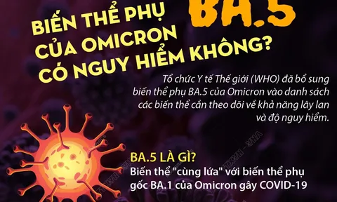 Biến thể phụ BA.5 của Omicron đã xâm nhập vào Việt Nam