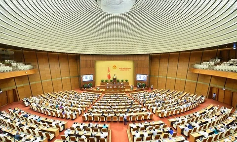 Chính phủ sẽ trình Quốc hội 6 luật tại kỳ họp thứ 4 (tháng 10/2022)