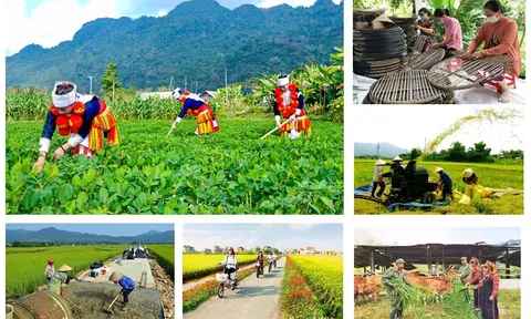 Triển khai quyết liệt, hiệu quả các chương trình mục tiêu quốc gia