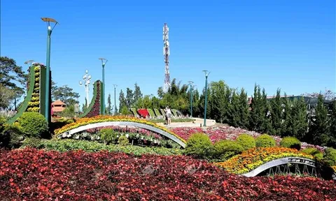 Festival Hoa Đà Lạt sẽ diễn ra trong 2 tháng