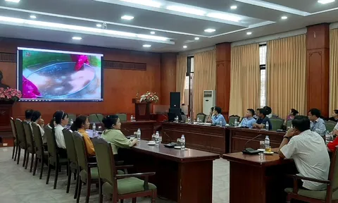 Tọa đàm về phương pháp xử lý, bảo quản hiện vật khảo cổ học giữa Bảo tàng Lịch sử quốc gia và Bảo tàng Đắk Lắk