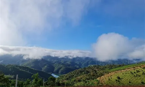 Chính phủ sẽ xử lý nghiêm hành vi tham nhũng, tiêu cực trong quản lý đất đai