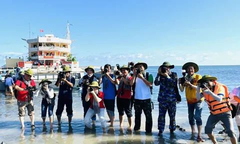 Bỏ quy định trình độ ngoại ngữ, tin học với phóng viên, biên tập viên