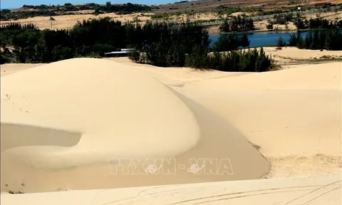 Đoàn Farmtrip quốc tế khảo sát, trải nghiệm du lịch tại Bình Thuận