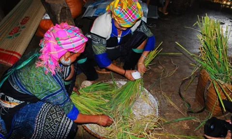 Hỗ trợ nghiên cứu, phục hồi văn hóa phi vật thể các dân tộc thiểu số có nguy cơ mai một