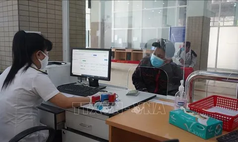 Các địa phương khẩn trương sẵn sàng ứng phó với bệnh đậu mùa khỉ