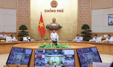 Nỗ lực phấn đấu đạt cao nhất các mục tiêu, chỉ tiêu của năm 2022