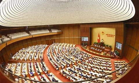 Ngày 28/10, Quốc hội tiếp tục thảo luận về kết quả phát triển kinh tế xã hội