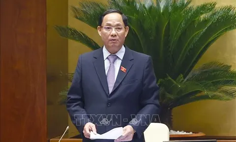 Kỳ họp thứ 4 - Quốc hội khóa XV: Quốc hội thảo luận về việc đấu giá biển số xe ô tô