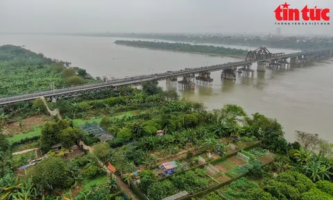 Chương trình hành động của Chính phủ về phát triển kinh tế - xã hội vùng đồng bằng sông Hồng