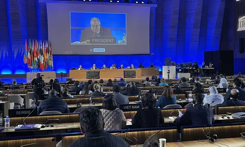 Việt Nam trúng cử Phó Chủ tịch Ủy ban bảo vệ đa dạng văn hóa của UNESCO