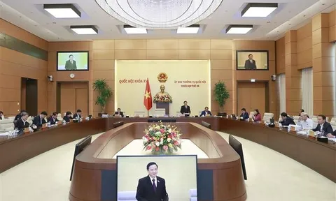 Ủy ban Thường vụ Quốc hội xem xét, quyết định thành lập một số đơn vị hành chính