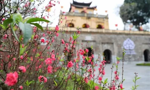 Hội thảo khoa học cấp quốc gia về Đề cương về văn hóa Việt Nam sẽ diễn ra ngày 27/2