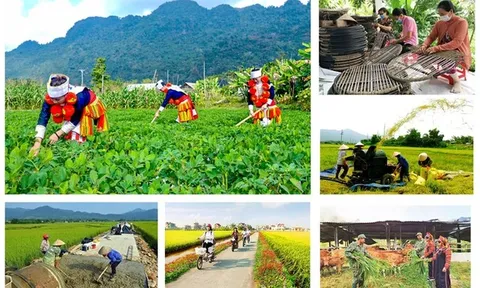 Đẩy nhanh tiến độ triển khai các chương trình mục tiêu quốc gia