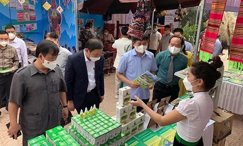Yên Bái triển khai các hoạt động liên kết hợp tác phát triển du lịch 8 tỉnh Tây Bắc mở rộng và Thành phố Hồ Chí Minh năm 2023