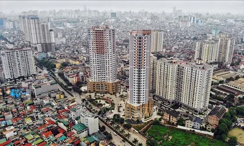 Khẩn trương tổng hợp, xây dựng Báo cáo kết quả lấy ý kiến nhân dân dự thảo Luật Đất đai (sửa đổi)
