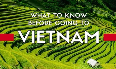 Báo quốc tế hướng dẫn toàn cảnh du lịch Việt Nam