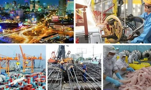 Nỗ lực phấn đấu cao nhất thực hiện các mục tiêu, nhiệm vụ phát triển kinh tế - xã hội đã đề ra
