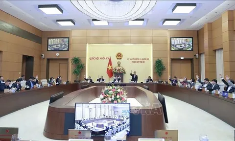 Tăng cường phát hiện, xử phạt vi phạm hành chính trong các hoạt động thủy sản