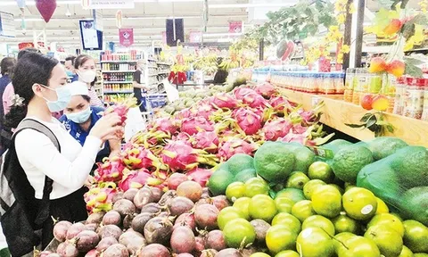 Thủ tướng chỉ đạo tập trung tháo gỡ khó khăn, vướng mắc thúc đẩy sản xuất, tiêu thụ nông sản; thực hiện 3 Chương trình mục tiêu quốc gia; chống khai thác hải sản bất hợp pháp