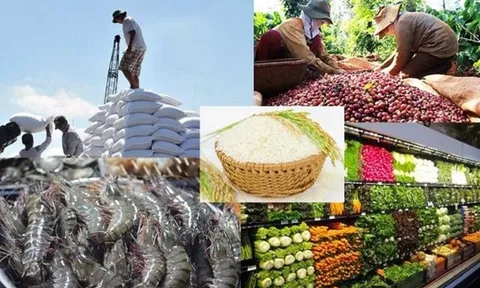 Quyết liệt tháo gỡ khó khăn, thúc đẩy sản xuất, xuất khẩu lâm sản và thuỷ sản