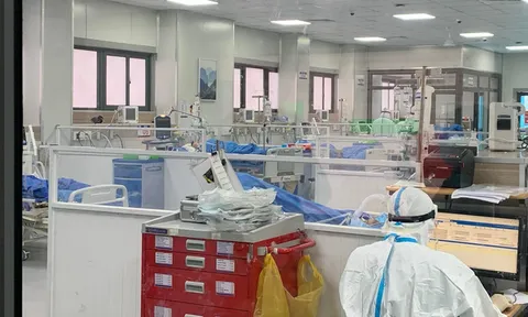 WHO khuyến nghị Việt Nam tiếp tục theo dõi chặt số ca COVID-19