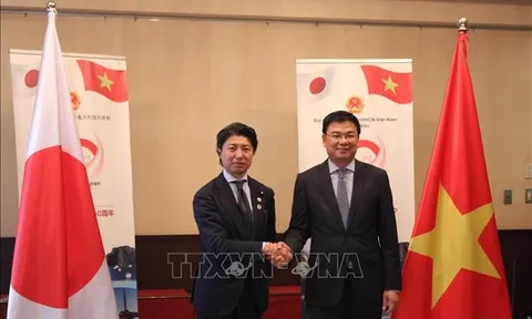 50 năm quan hệ Việt Nam - Nhật Bản: Lễ hội Việt Nam tại Nhật Bản sẽ diễn ra vào đầu tháng 6