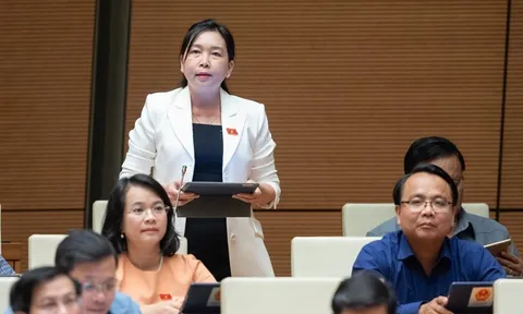Lần đầu tiên Quốc hội thảo luận tại hội trường về giải quyết kiến nghị của cử tri