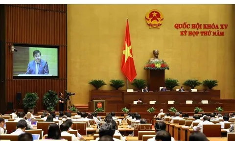 Giải quyết tận gốc vấn đề, tạo niềm tin cho cử tri và nhân dân cả nước