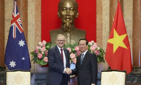 Chủ tịch nước Võ Văn Thưởng tiếp Thủ tướng Australia Anthony Albanese