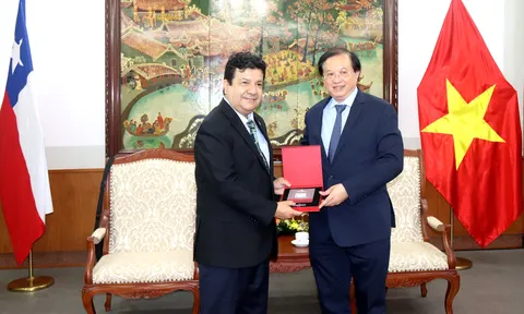 Việt Nam - Chile: Đẩy mạnh hợp tác văn hóa