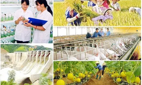 Thúc đẩy tiến độ giải ngân vốn thực hiện các chương trình mục tiêu quốc gia