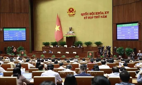 Quốc hội thông qua Luật Hợp tác xã (sửa đổi)