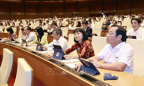 Thông qua Nghị quyết thành lập Đoàn giám sát chuyên đề năm 2024