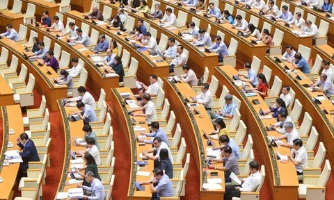 Cần có mục riêng cho vùng miền núi, dân tộc thiểu số trong Luật Đất đai