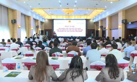 Tổ chức Hội nghị tập huấn, tuyên truyền phổ biến Nghị định số 17/2023/NĐ-CP quy định chi tiết một số điều và biện pháp thi hành Luật Sở hữu trí tuệ về quyền tác giả, quyền liên quan