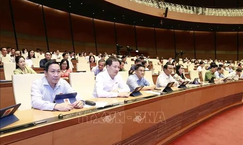 Ngày 23/6, Quốc hội thông qua Luật Đấu thầu (sửa đổi) và Nghị quyết về việc lấy phiếu tín nhiệm