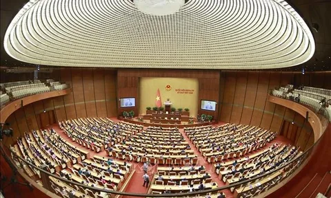 Quốc hội thông qua giảm 2% thuế Giá trị gia tăng đến hết năm 2023