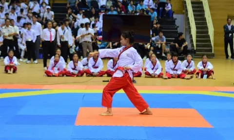Giải Taekwondo vô địch các câu lạc bộ Thành phố Đà Nẵng