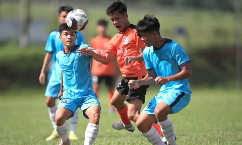 Bóng đá chuyên nghiệp Việt Nam: "Hồn Trương Ba, da hàng thịt"