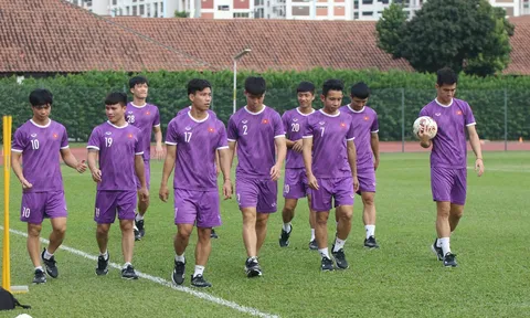 Đội tuyển Việt Nam: Huấn luyện viên mới sẽ ra mắt vào cuối tháng 3?