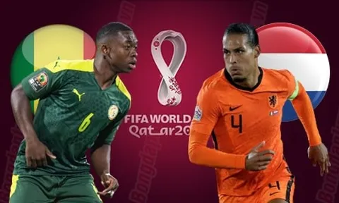 Bảng A > Hà Lan - Senegal (sân Al-Thumama 23 giờ ngày 21/11): Van Gaal nắn gân sư tử Teranga
