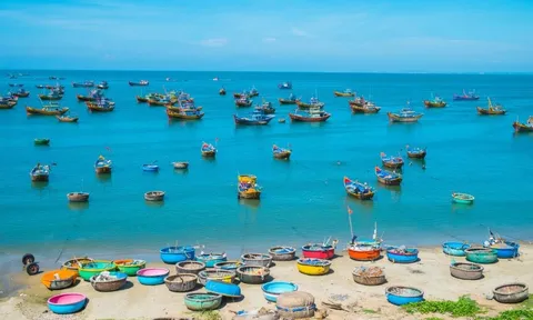 Bình Thuận triển khai kế hoạch tổ chức chương trình du lịch “Hành trình Biển và Hoa”
