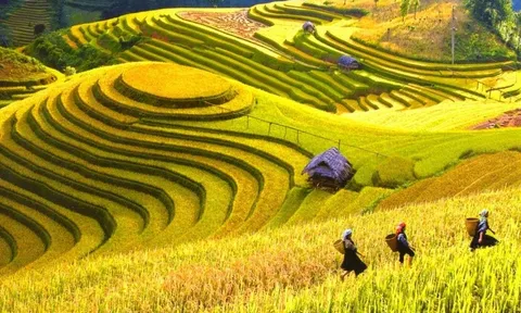 Sa Pa và Cần Thơ - điểm đến lý tưởng ở châu Á vào mùa Thu này