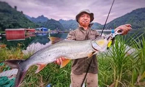 Triển lãm quốc tế chuyên ngành dụng cụ câu cá Việt Nam 2023 - Vietnam International Fishing Gear Expo 2023