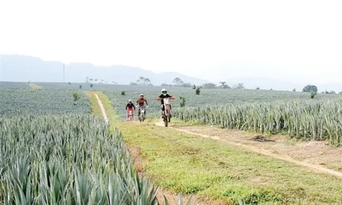 Giải đua Mô tô địa hình Lai Châu lần thứ nhất: Thu hút 80 vận động viên tham dự