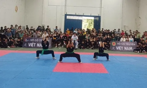 Huyện Hàm Thuận Bắc tổ chức thành công giải trẻ Võ thuật cổ truyền lần thứ nhất